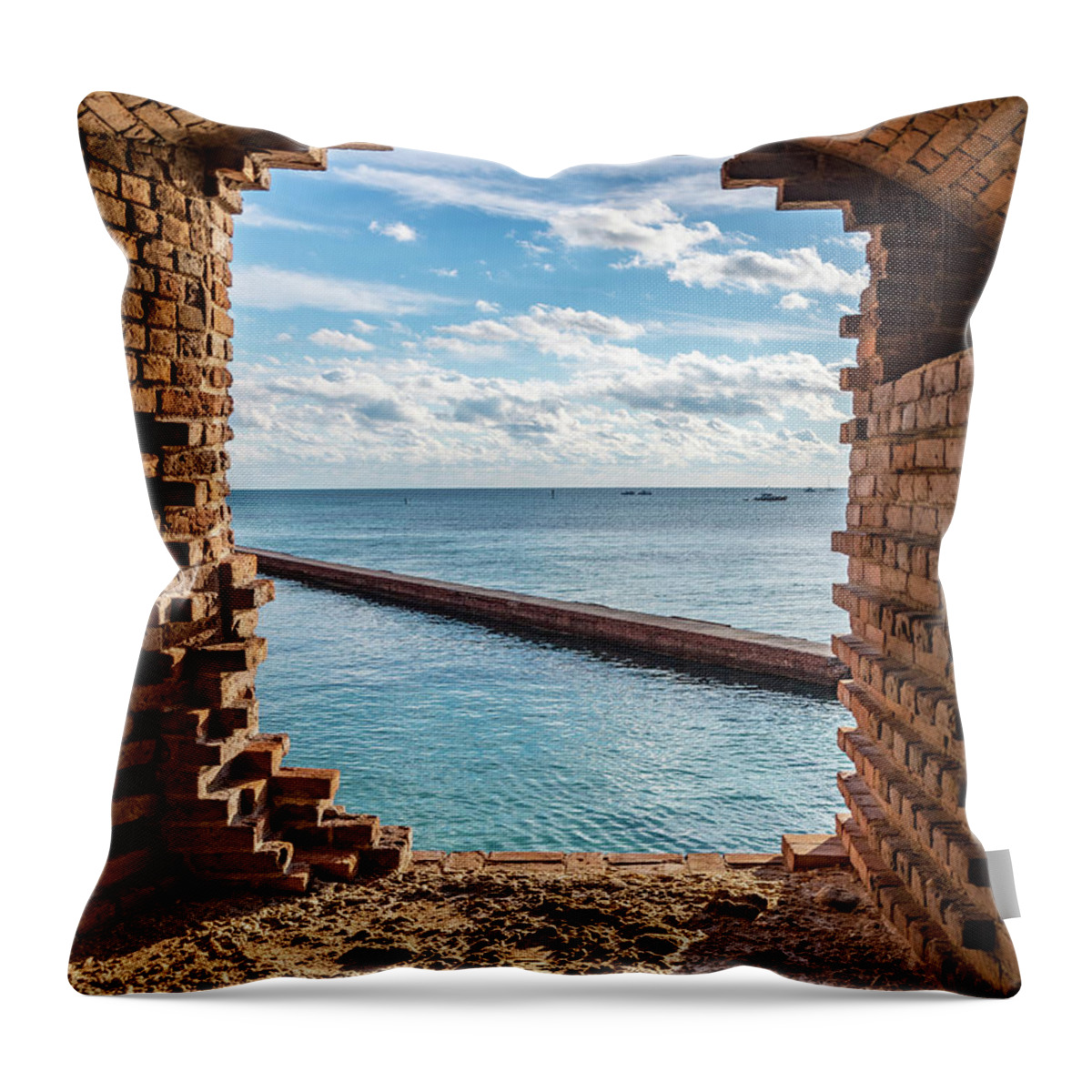 Dry Throw Pillow featuring the photograph A Window With A View by David Hart