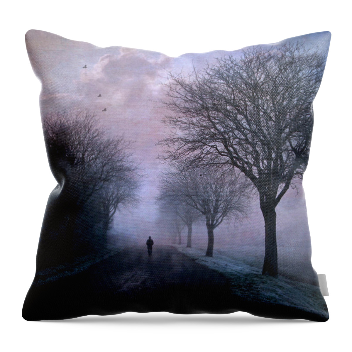 Person On Snowy Street Throw Pillow featuring the photograph A Winter's Stroll by Susan Maxwell Schmidt