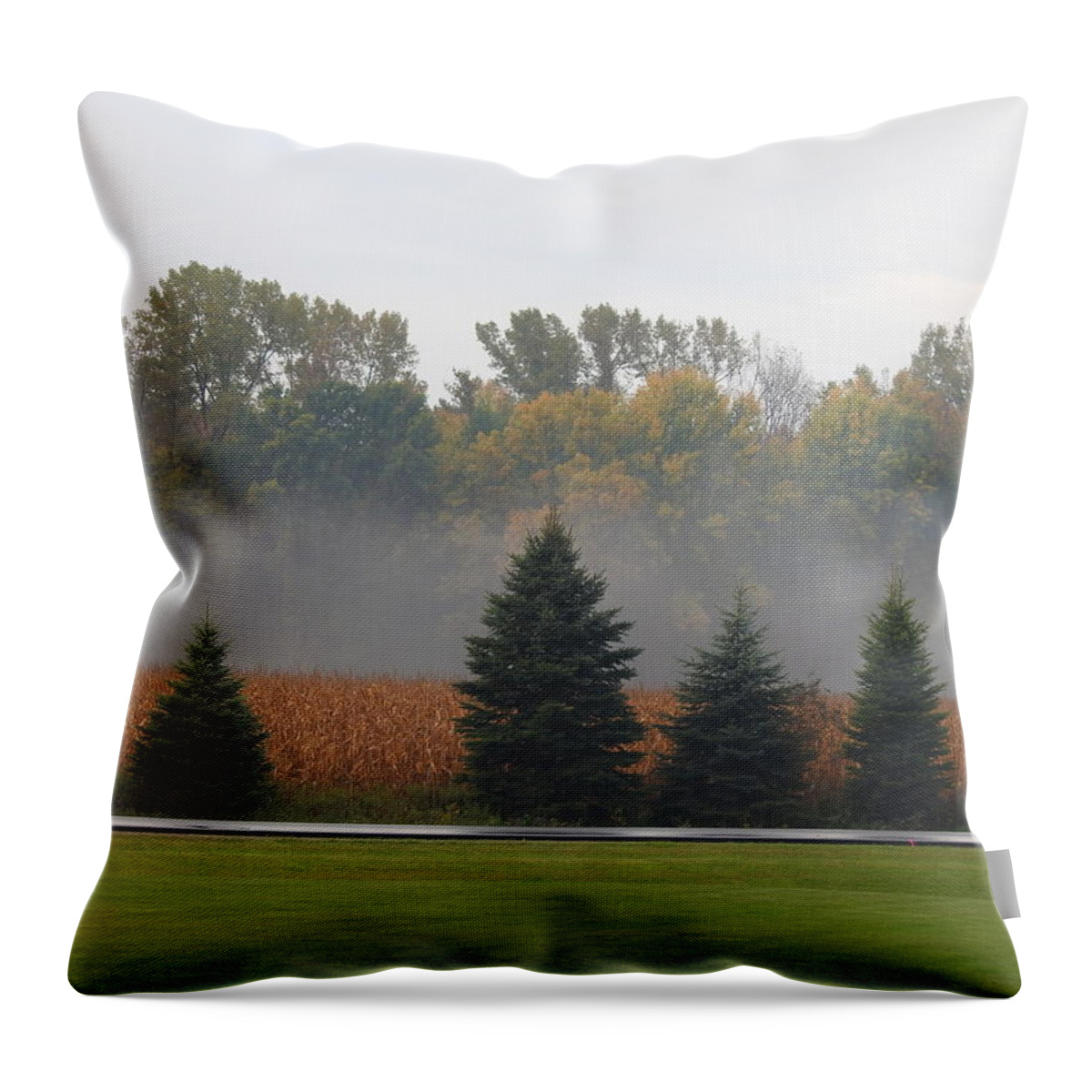 Misty Morning Throw Pillow featuring the photograph A Wisconsin Autumn Morning by Barbara Ebeling