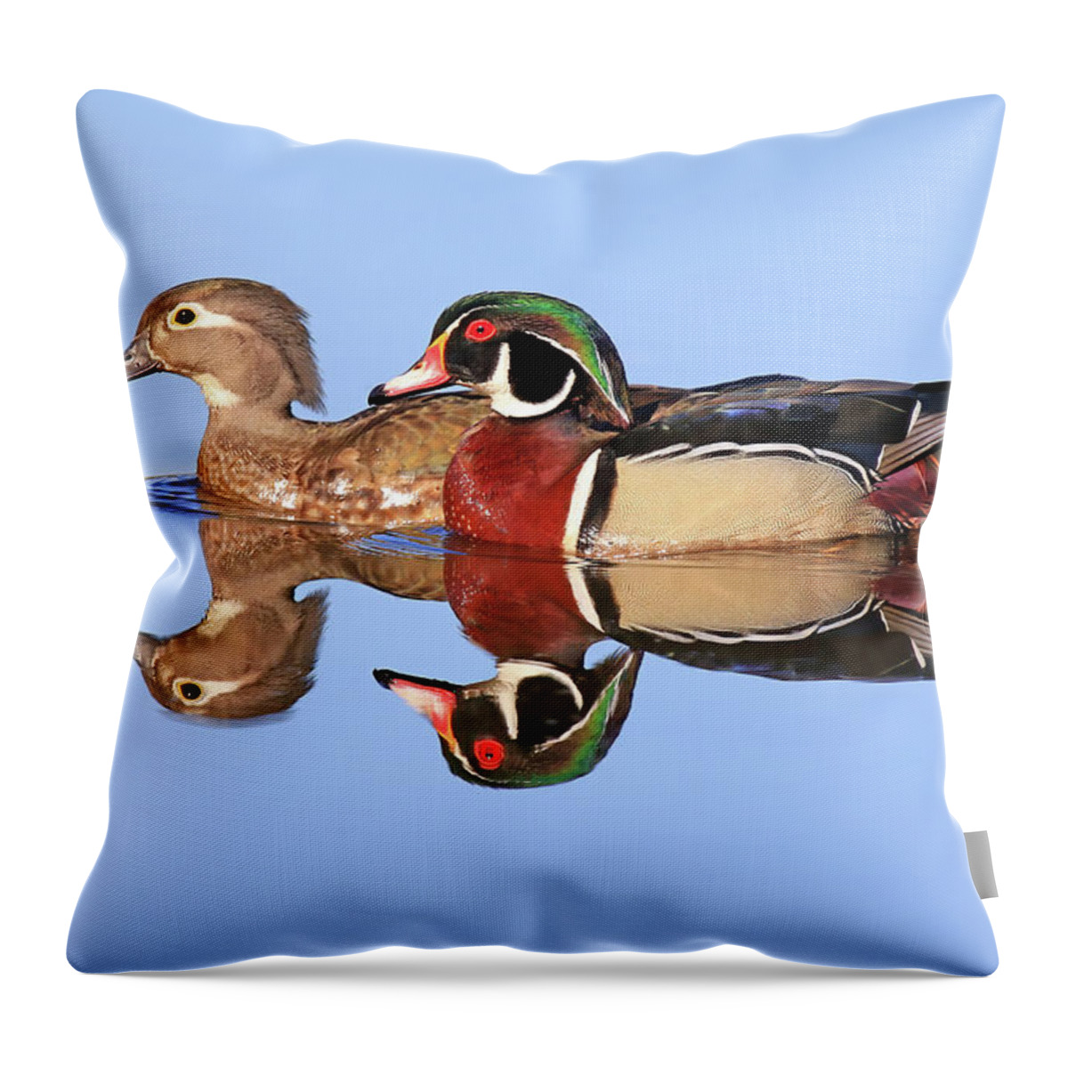 Wood Duck Throw Pillow featuring the photograph A Wood Duck Couple by Shixing Wen
