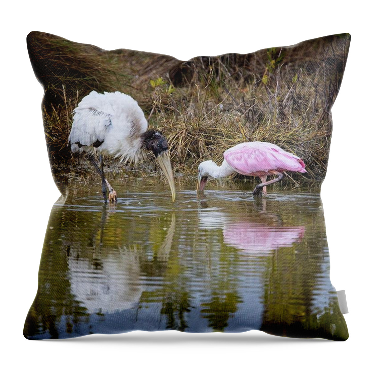 Feeding Throw Pillow featuring the photograph A Wood Stork and Spoonbill feeding together. by Ronald Lutz