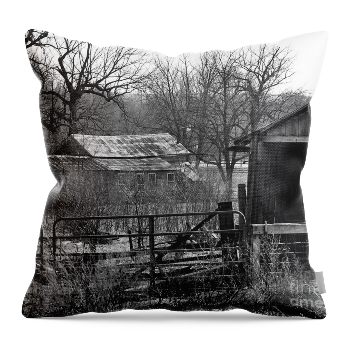Iowa Throw Pillow featuring the photograph Abandoned Farm by Kirt Tisdale