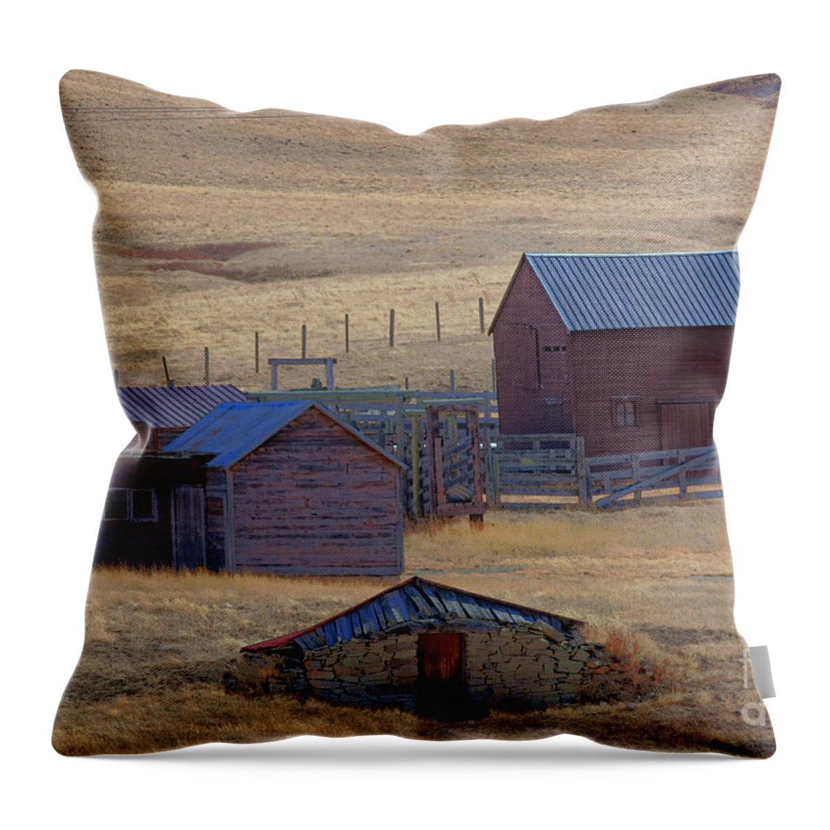 Buildings Throw Pillow featuring the photograph Ranch Buildings by Kae Cheatham