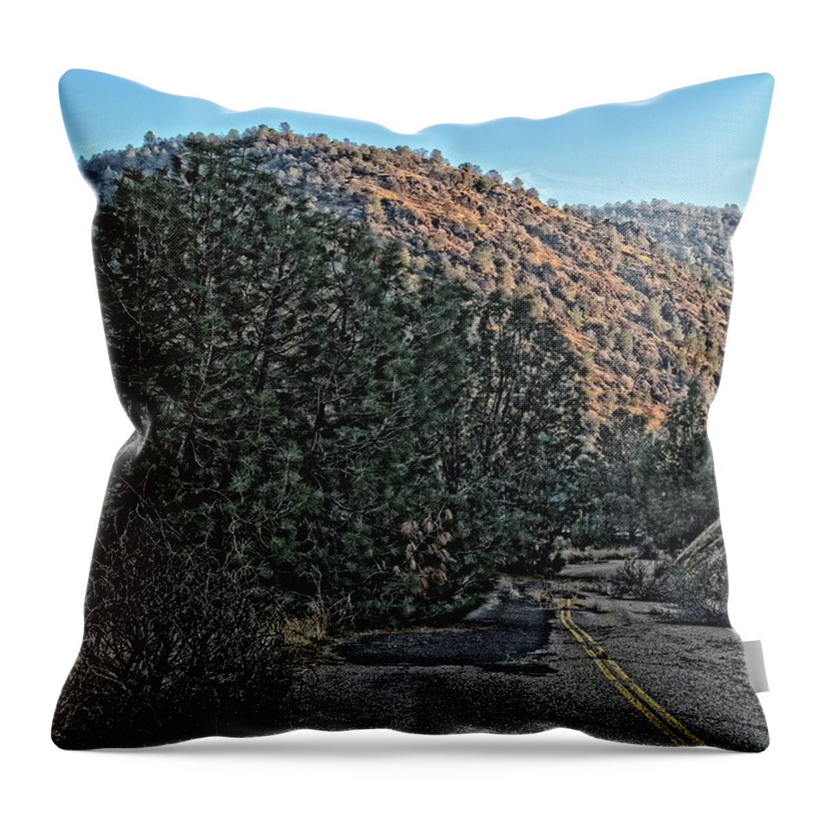 Natural Landscape Throw Pillow featuring the photograph Abandoned Road by Maggy Marsh