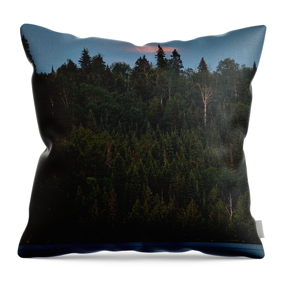 Woods Throw Pillow featuring the photograph Above All by Doug Gibbons