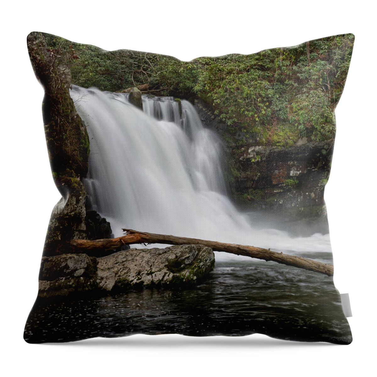 Abrams Falls Throw Pillow featuring the photograph Abrams Falls 13 by Phil Perkins