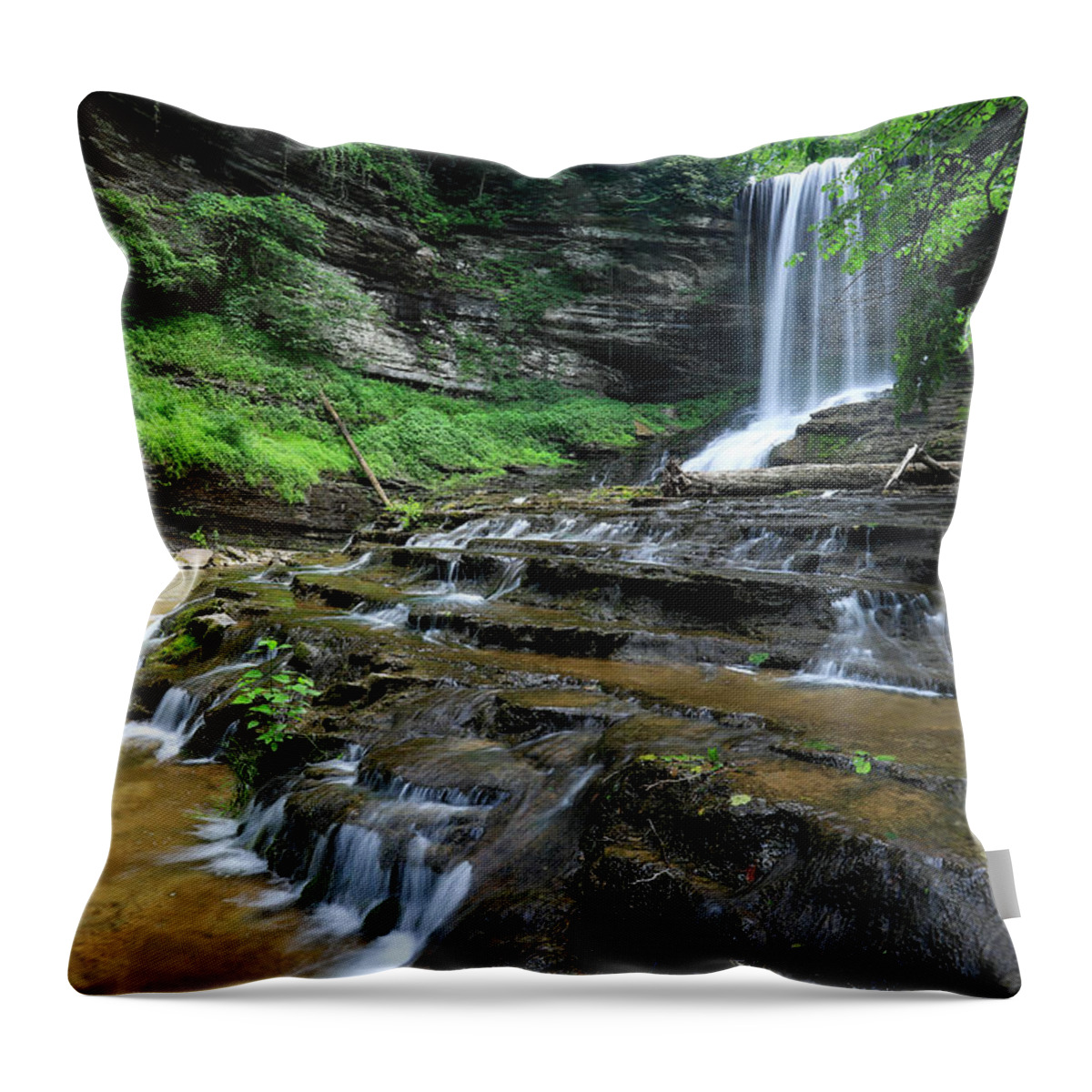 Landscape Throw Pillow featuring the photograph Abrams Falls by Chris Berrier