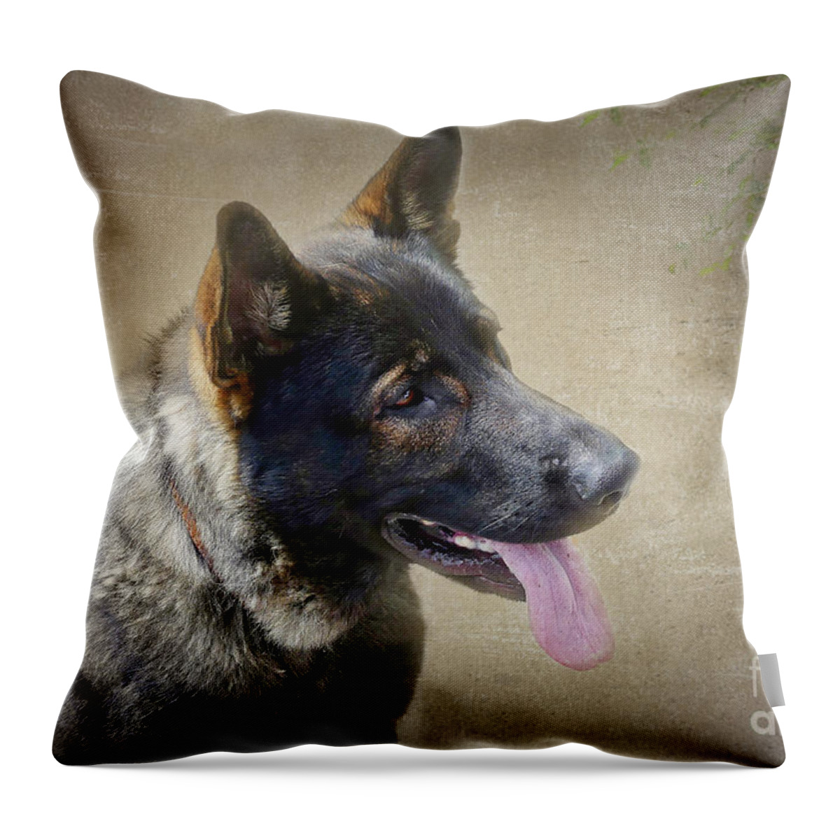 German Shepherd Throw Pillow featuring the photograph Absolute Loyalty by Amy Dundon