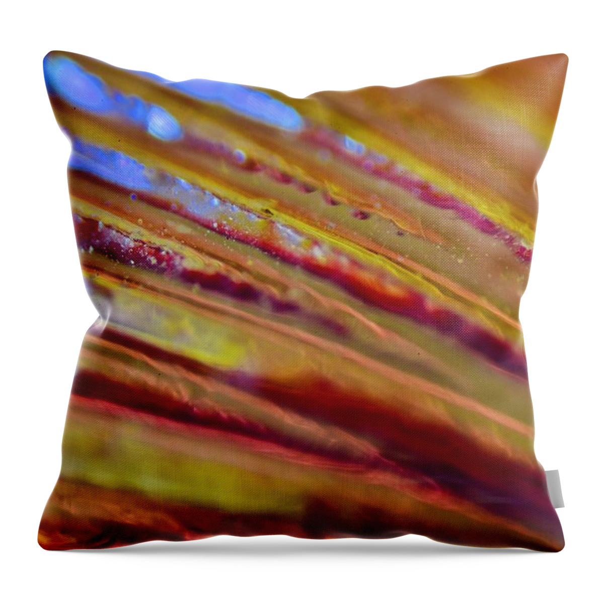 Abstract Throw Pillow featuring the photograph Abstract 6 by Neil R Finlay