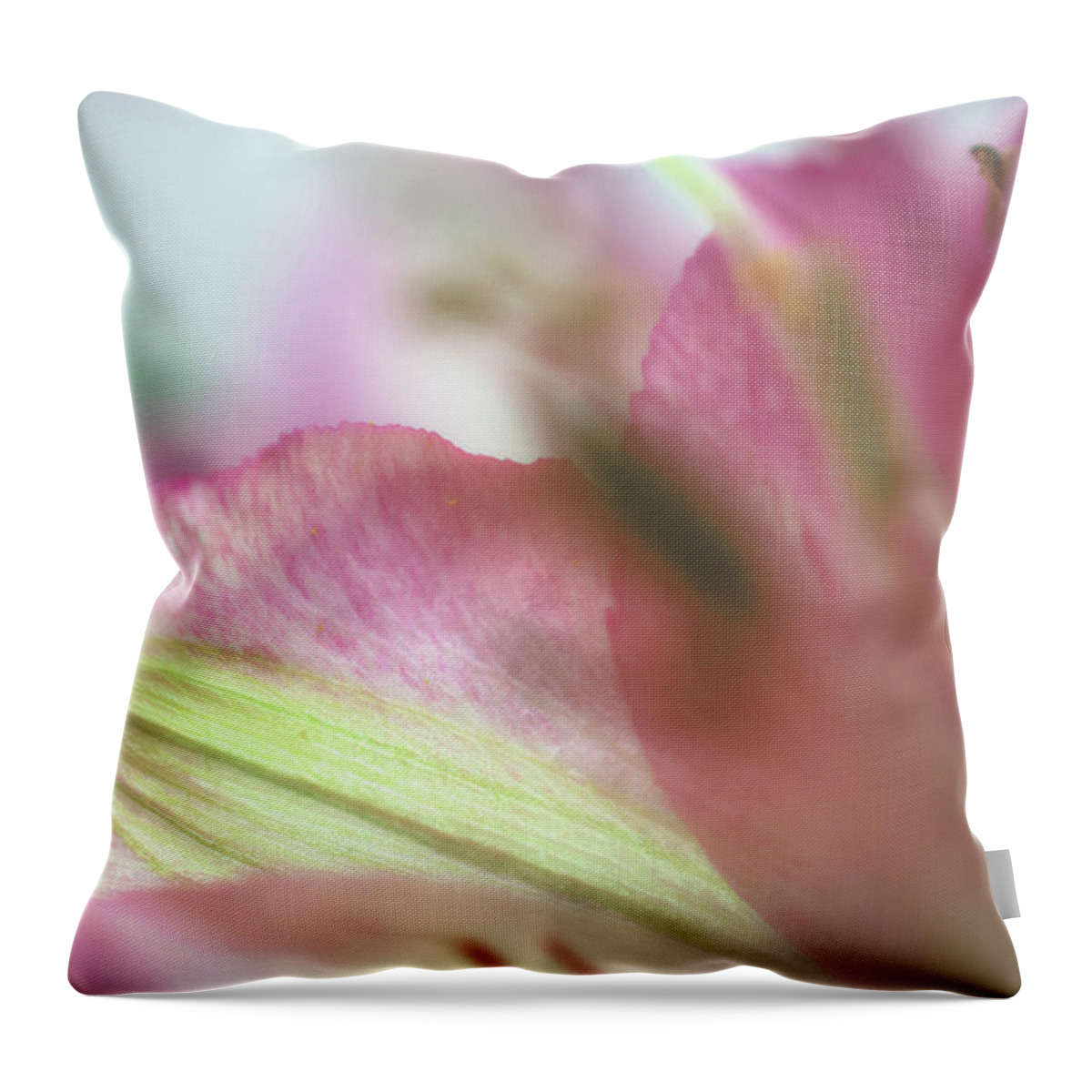 Abstract Floral Wall Art Throw Pillow featuring the photograph Abstract Floral Wall Art by Gwen Gibson