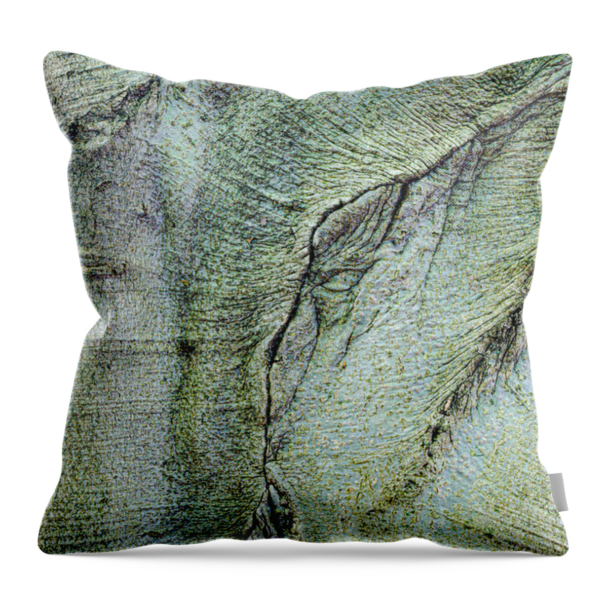Tree Throw Pillow featuring the photograph Abstract In The Tree Bark by Gary Slawsky