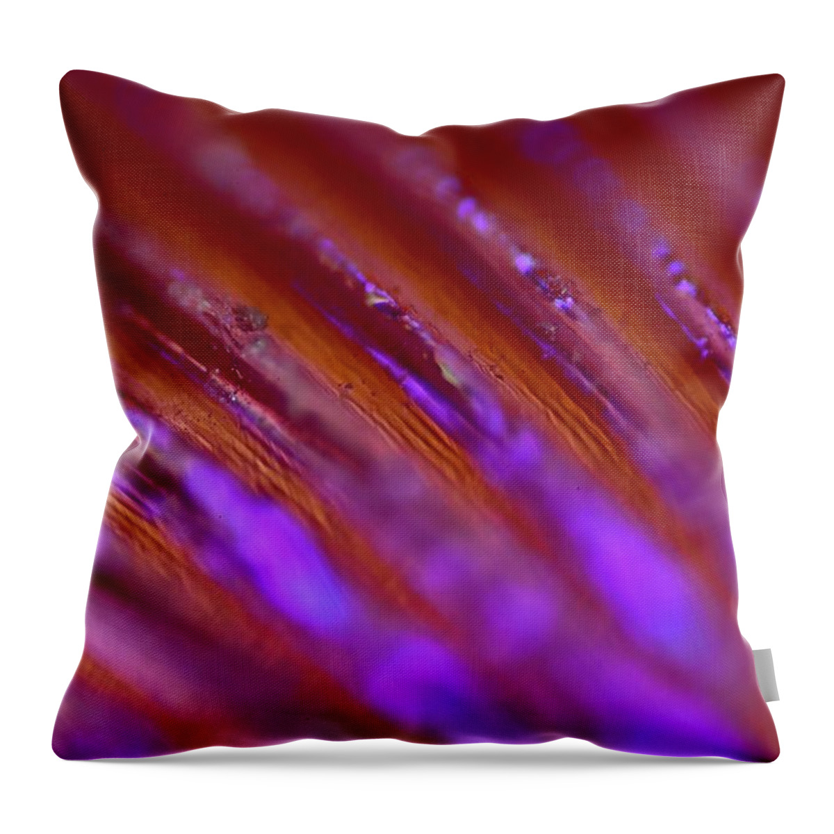 Abstract Throw Pillow featuring the photograph Abstract by Neil R Finlay