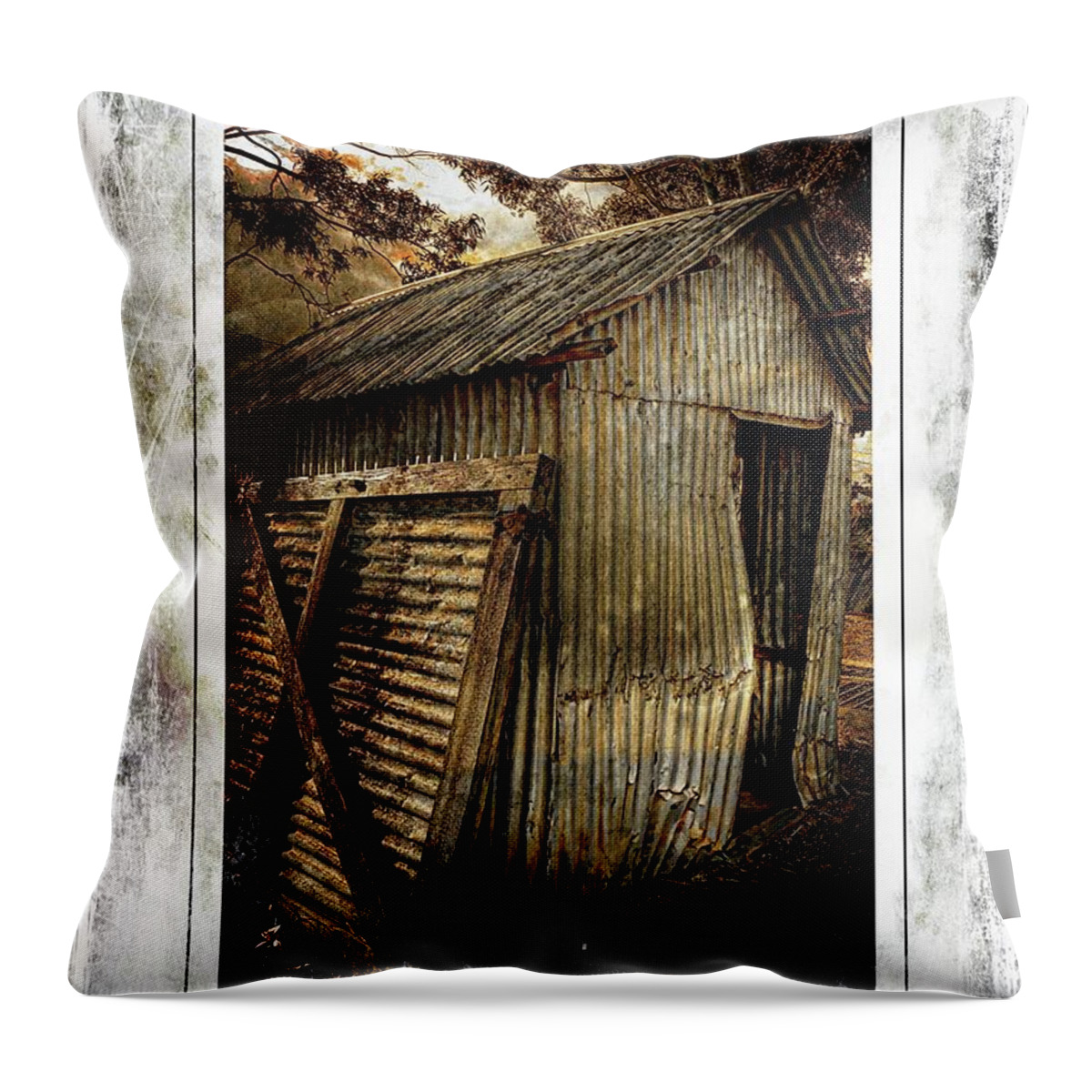 Shed Throw Pillow featuring the photograph Abstract Vintage Shed by Michelle Liebenberg