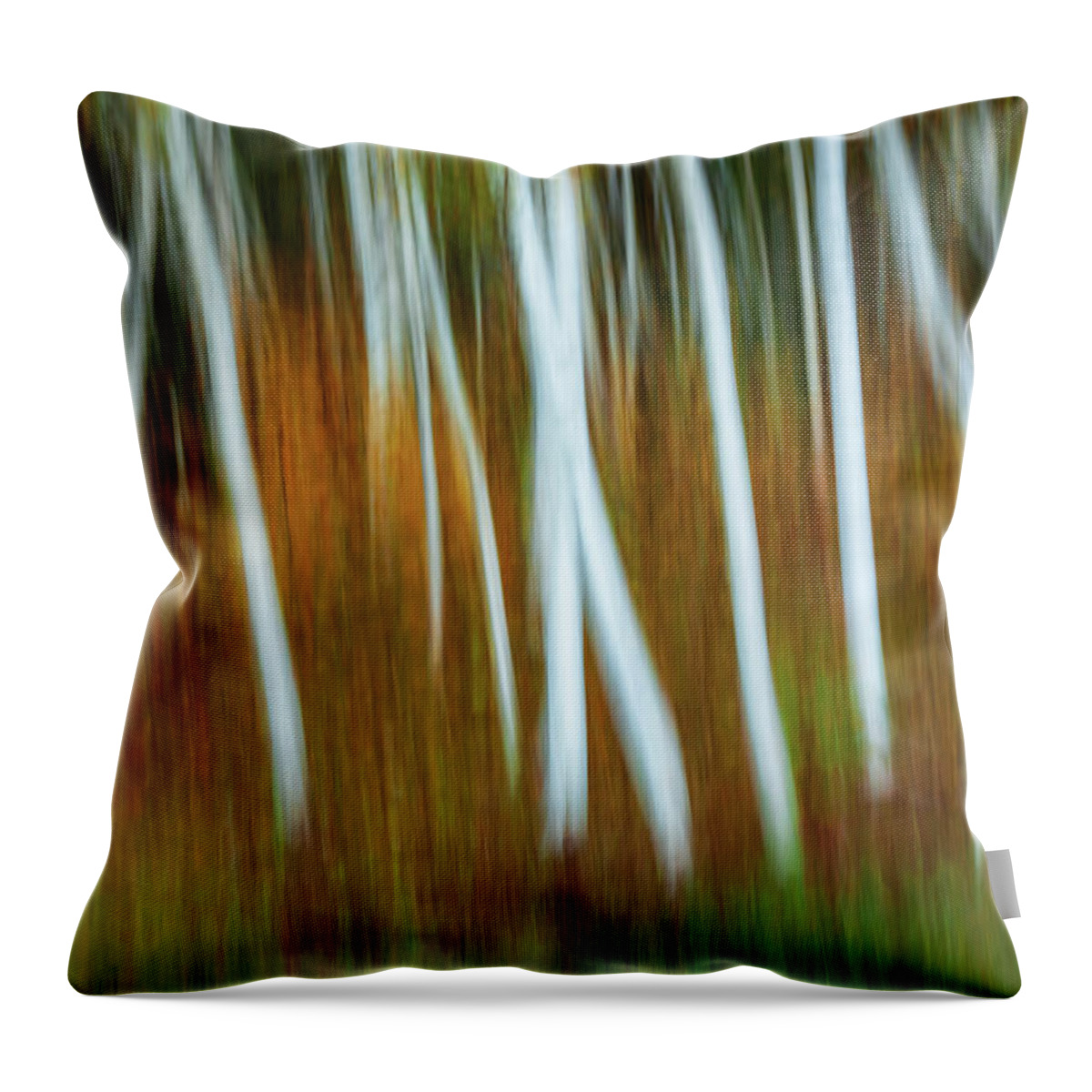  Throw Pillow featuring the photograph Acadia Aspens by Gary Johnson