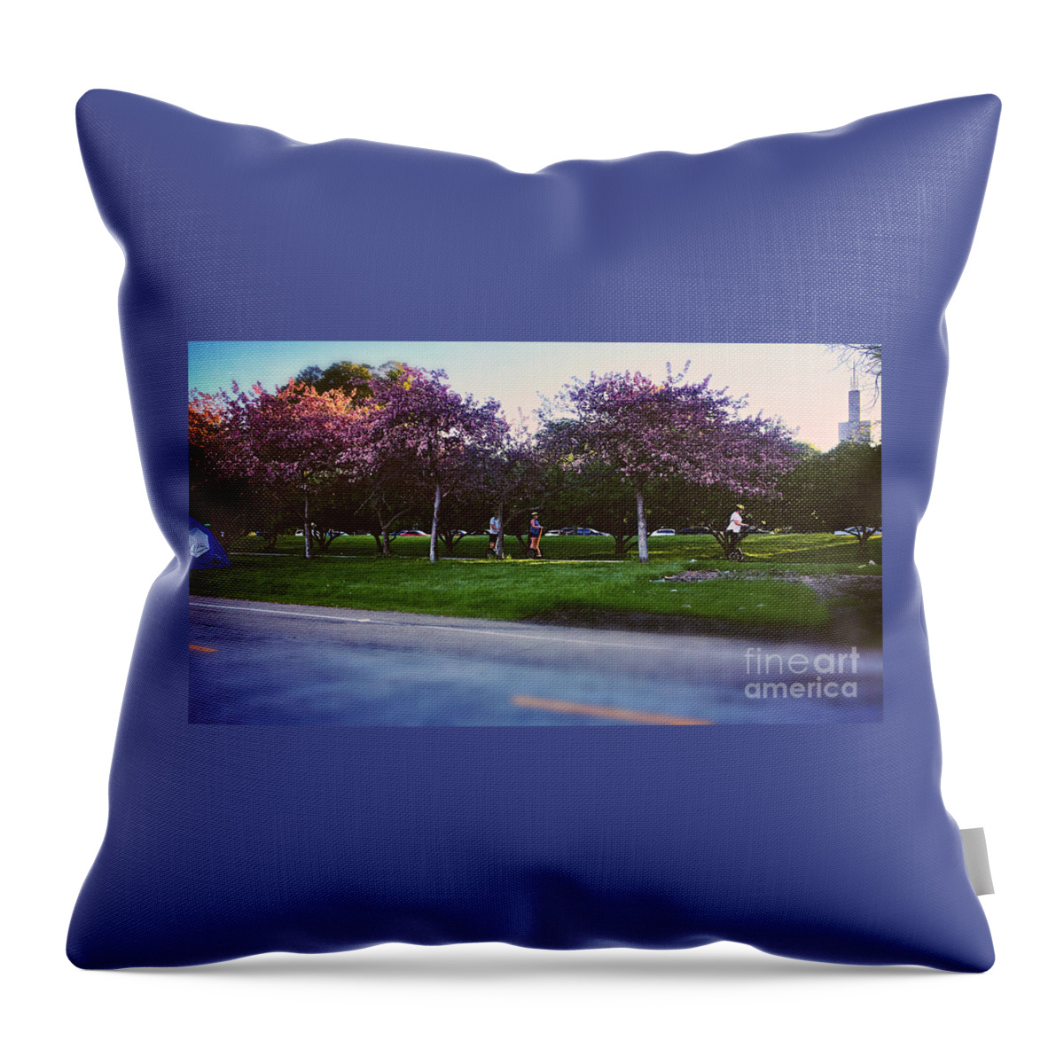 Pano Throw Pillow featuring the photograph Acceptance - Color Photograph - Frank J Casella by Frank J Casella