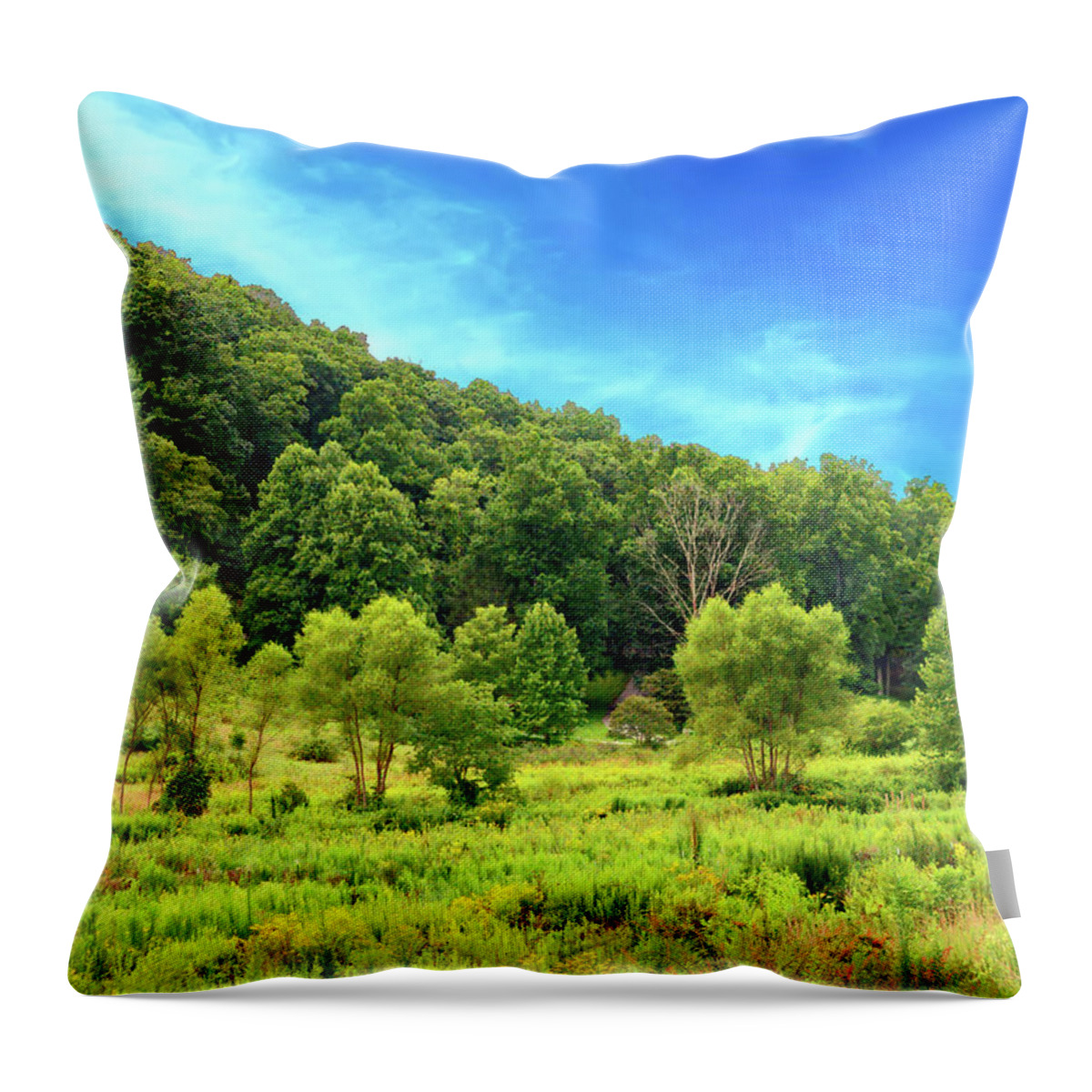 Mountain Throw Pillow featuring the photograph Across the Way by Allen Nice-Webb