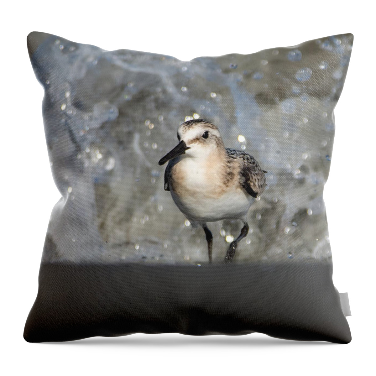 Bird Throw Pillow featuring the photograph Action Super Hero by Linda Bonaccorsi