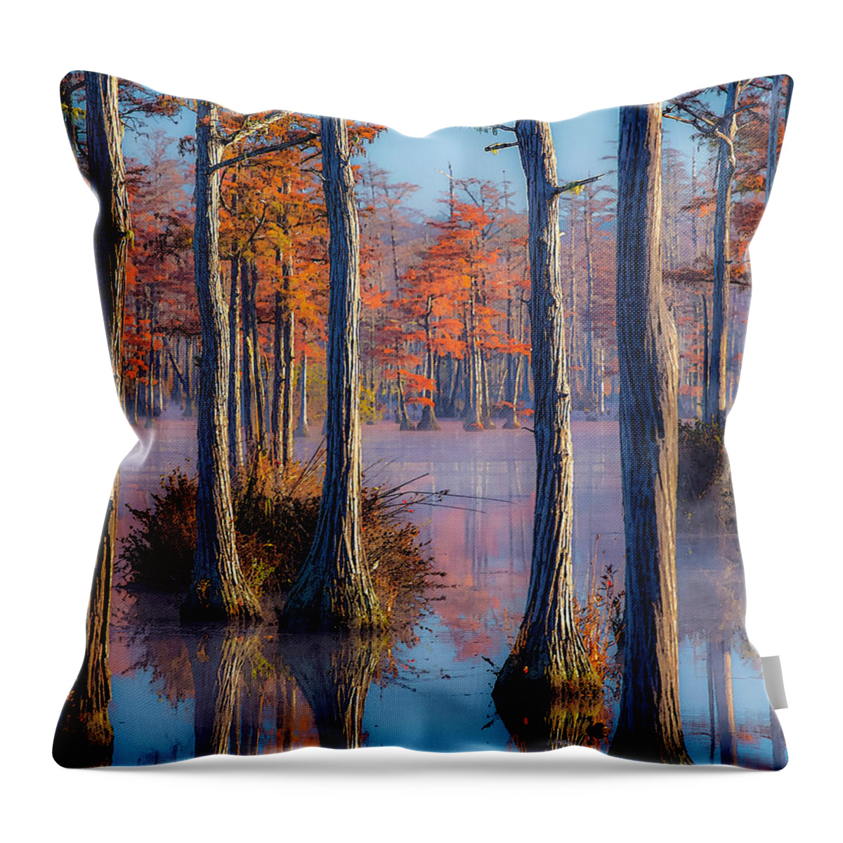 Cypress Trees Throw Pillow featuring the photograph Adams Mill Pond Panorama 09 by Jim Dollar