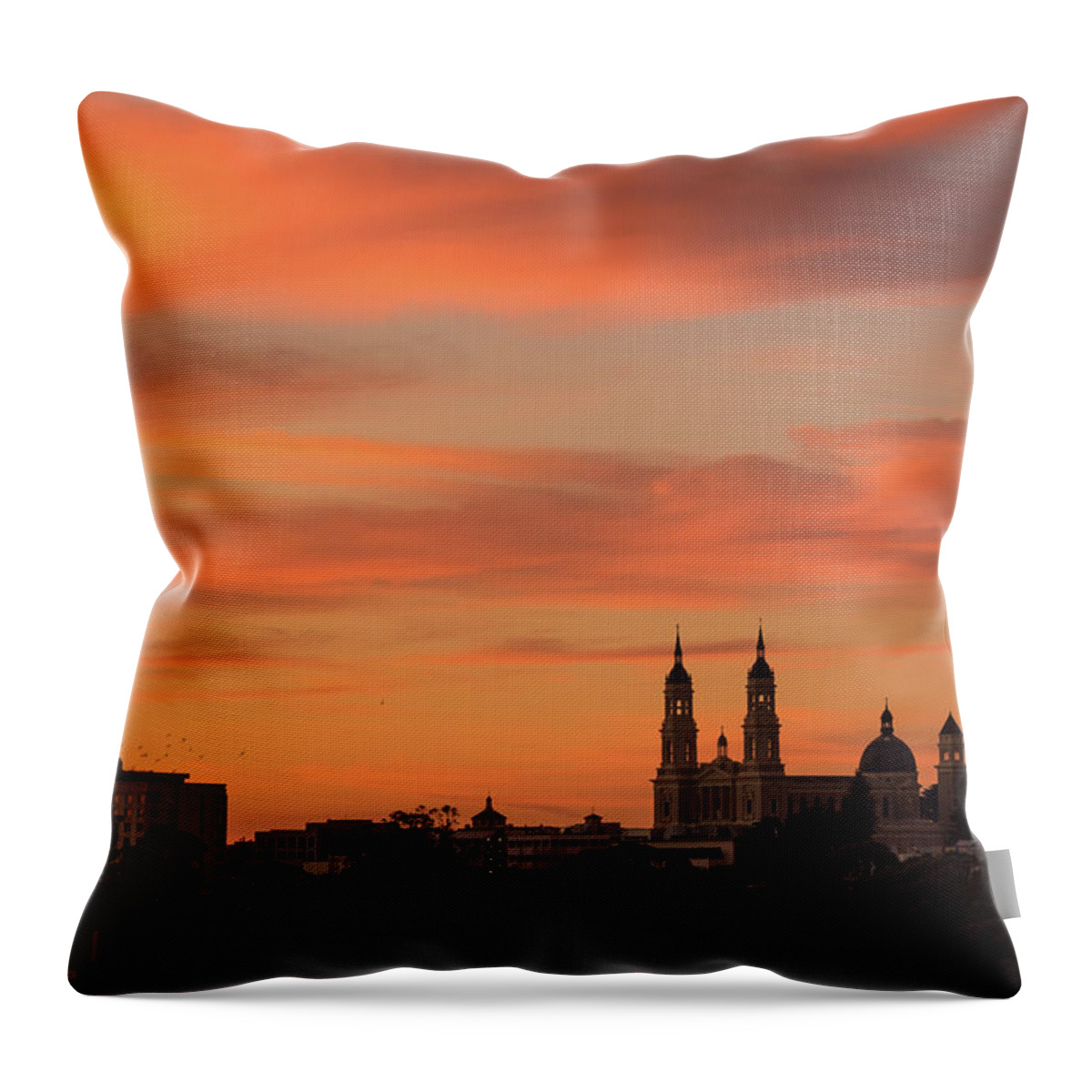 St. Ignatius Throw Pillow featuring the photograph Adieu by Laura Macky