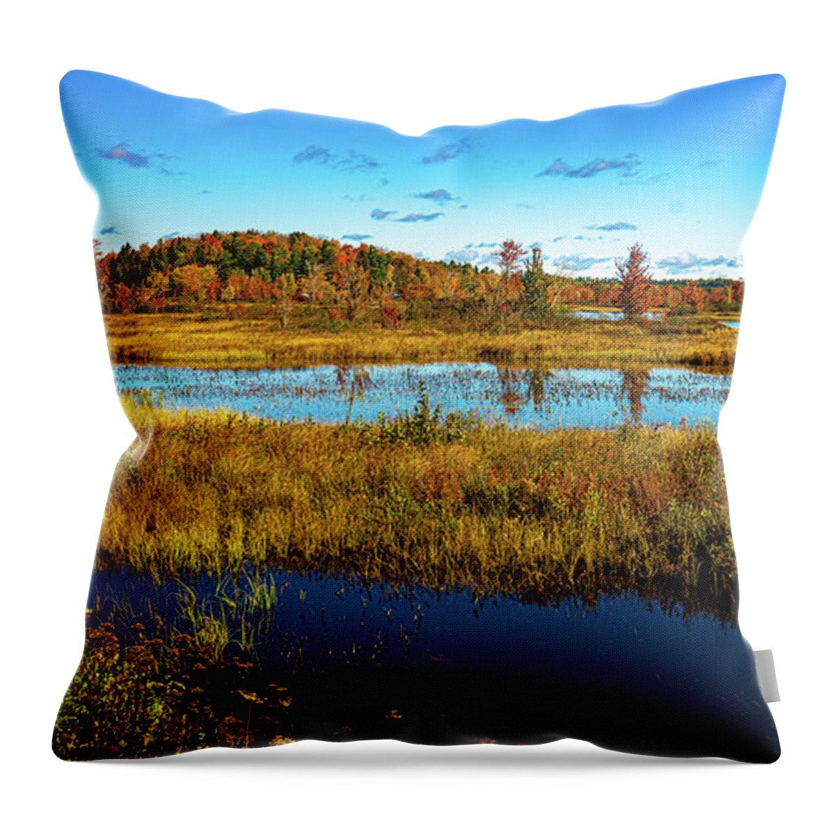 Fall Throw Pillow featuring the photograph Adirondacks Autumn at Tupper Lake 7 by Ron Long Ltd Photography