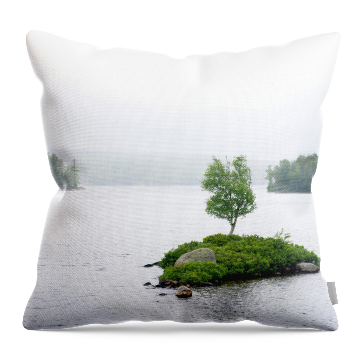 Adirondacks Throw Pillow featuring the photograph Adirondacks Tupper Lake Region by Flinn Hackett
