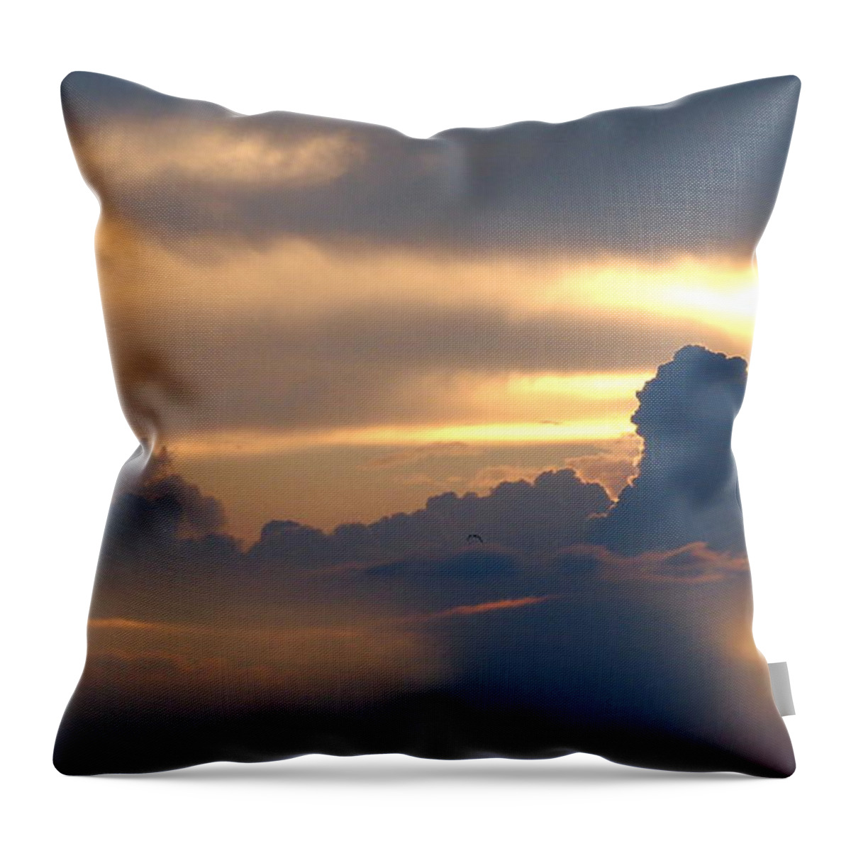 Look Up Throw Pillow featuring the photograph Adrift in the Golden Splendor by Tony Lee