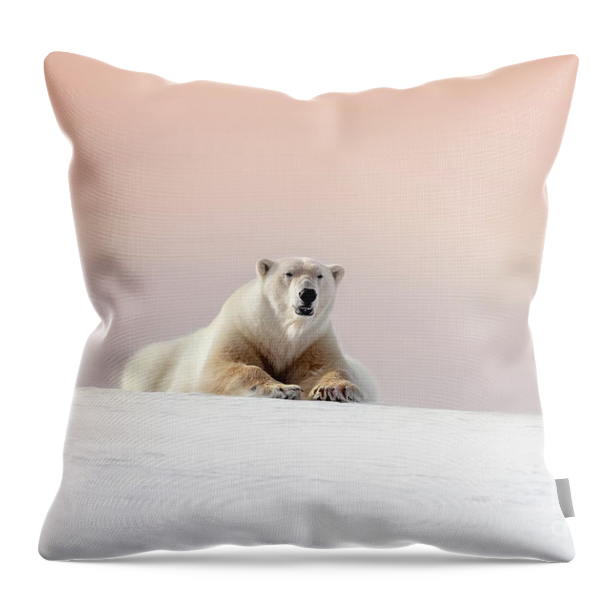 Wild Throw Pillow featuring the photograph Adult male polar bear resting on the snow of Svalbard at dusk by Jane Rix