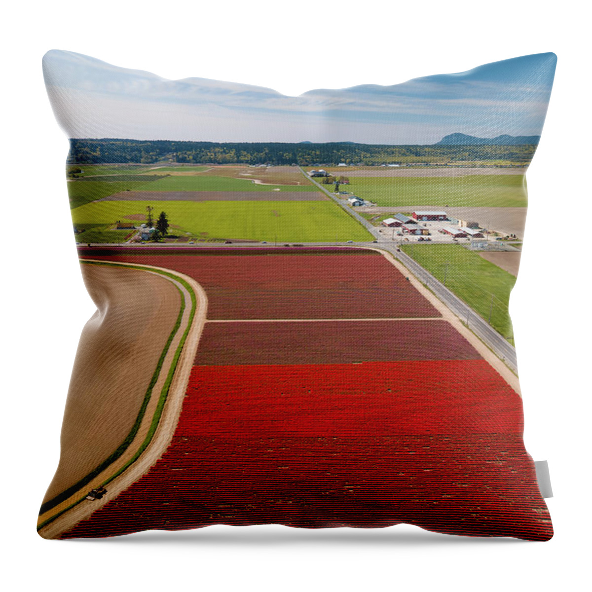 Skagit Valley Tulips Throw Pillow featuring the photograph Aerial Tulips5 by Michael Rauwolf