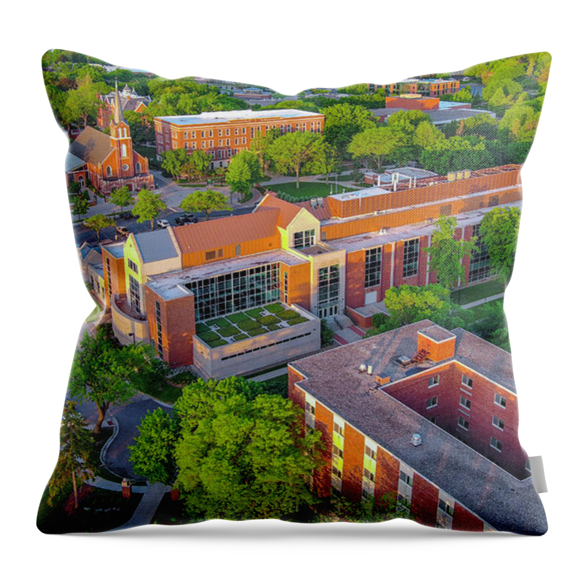Springtime Throw Pillow featuring the photograph Aerial view of beautiful Saint Norbert College by James Brey