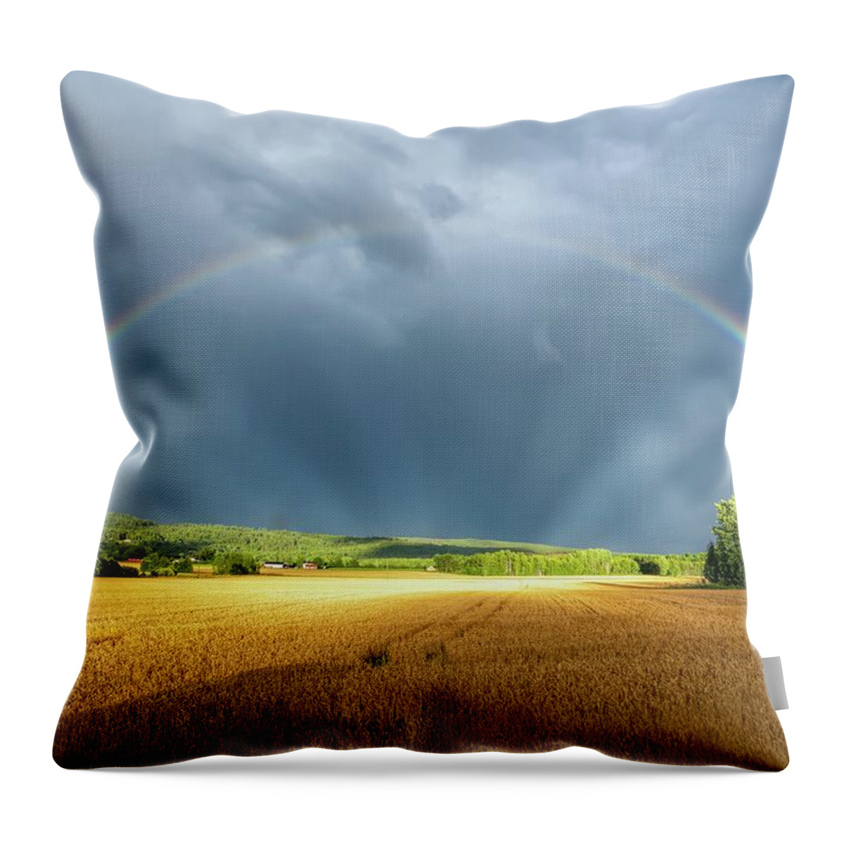 Rainbow Throw Pillow featuring the photograph Touched by the light by Rose-Marie Karlsen