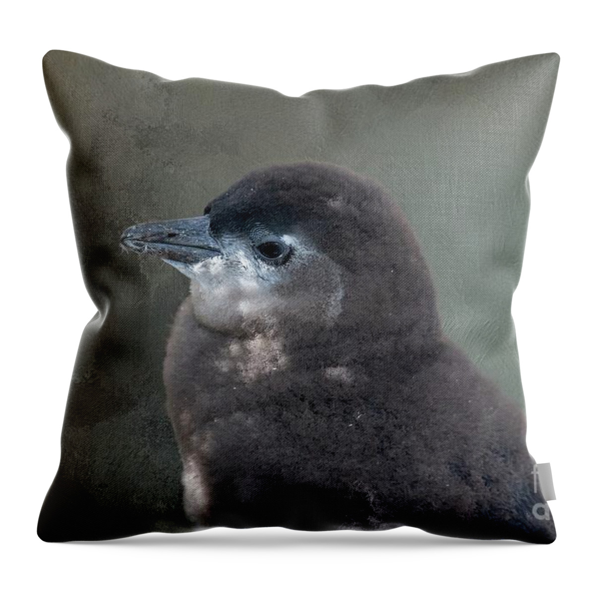 African Penguin Throw Pillow featuring the photograph African Penguin Chick Portrait by Eva Lechner