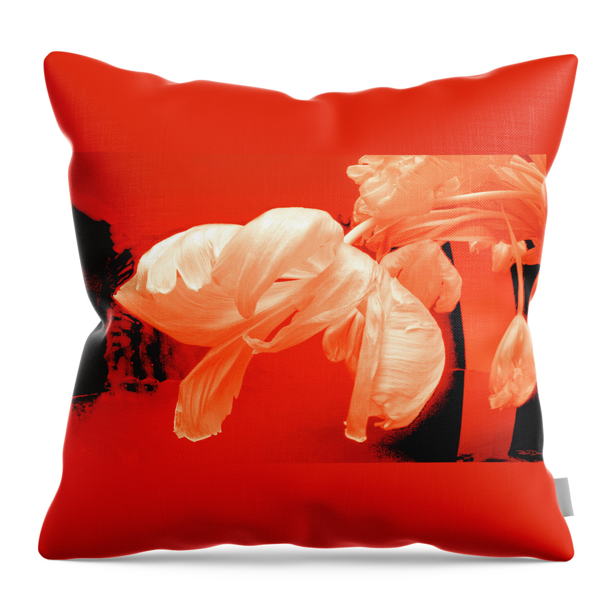 Tulip Throw Pillow featuring the photograph After Dark by Robert Dann