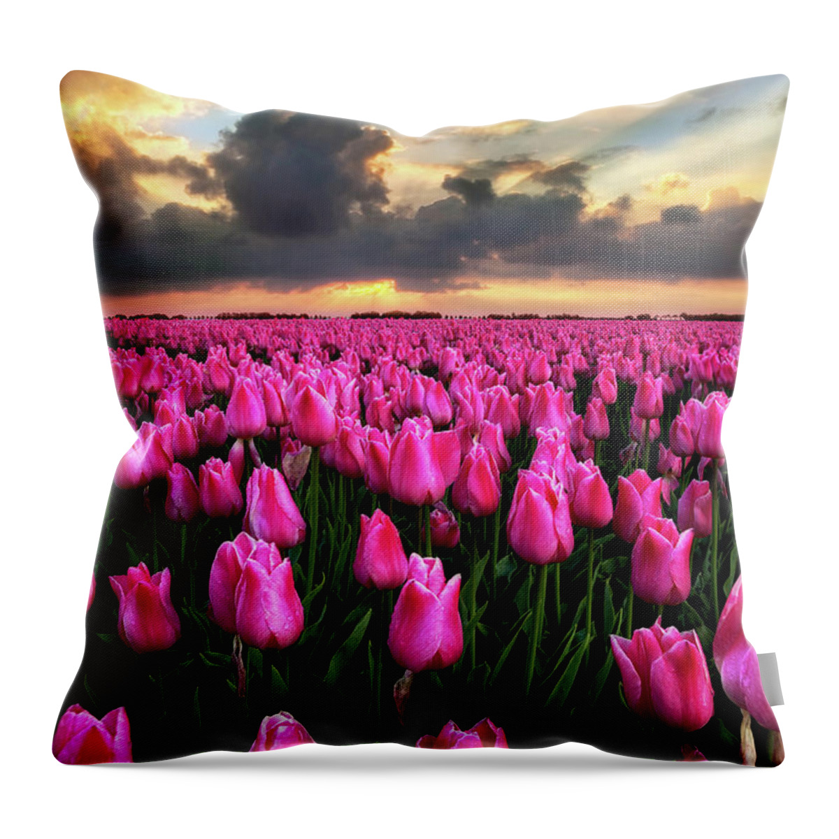 Landscape Throw Pillow featuring the photograph After the rain by Jorge Maia