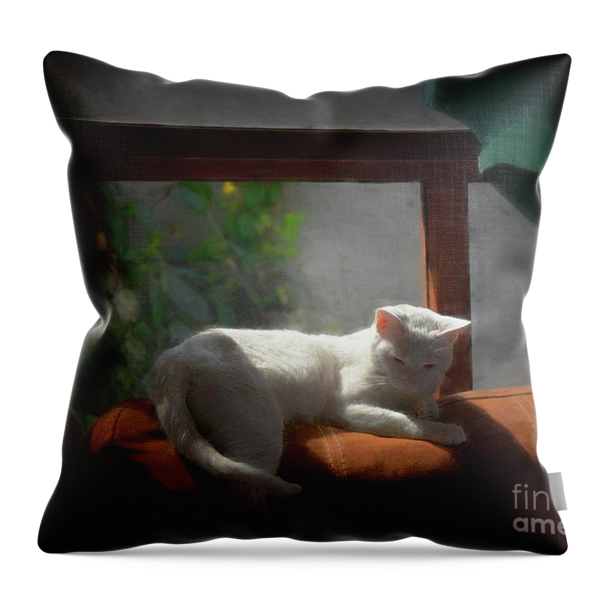 Cat Throw Pillow featuring the photograph Afternoon Snooze by John Kolenberg