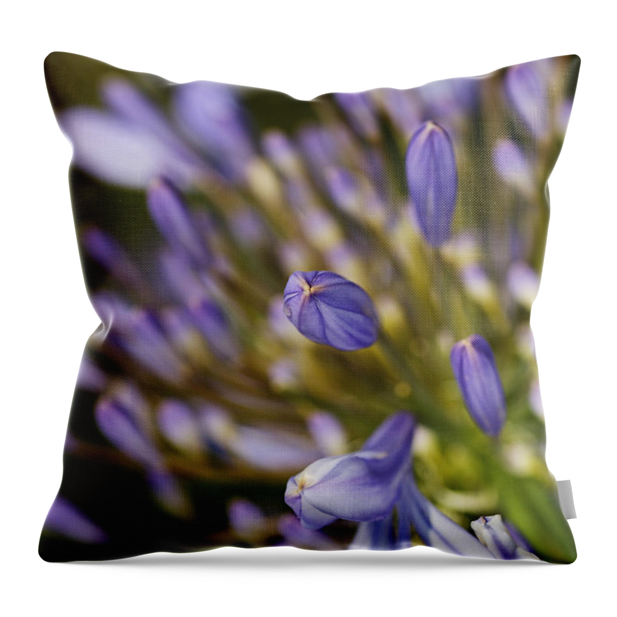 Lily Of The Nile Throw Pillow featuring the photograph Agapanthus Buds To Flower by Joy Watson