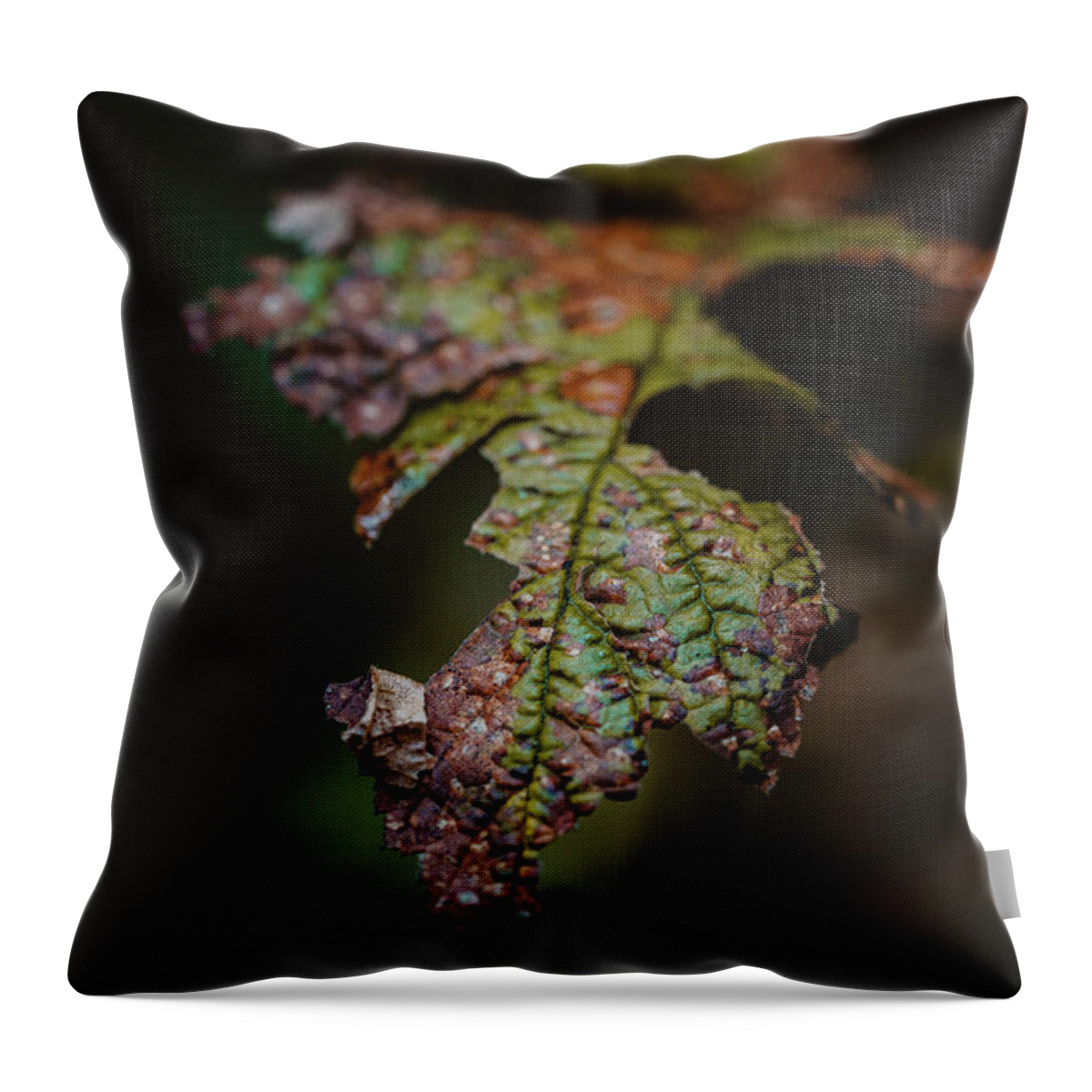 Autumn Throw Pillow featuring the photograph Aged Leaf in the Woods by Ada Weyland