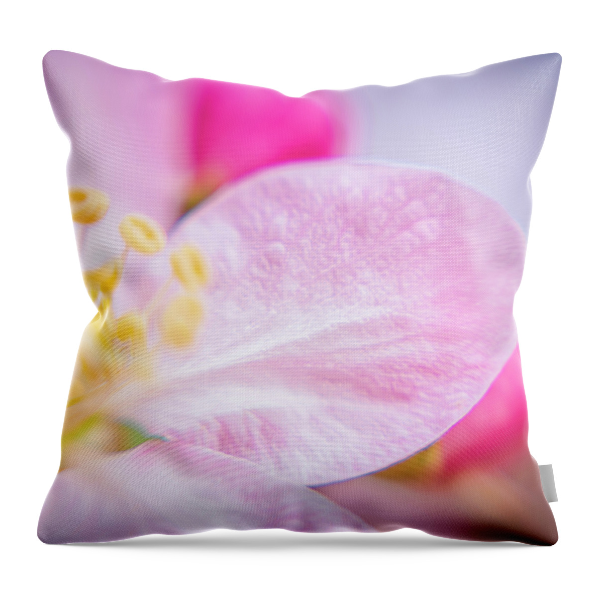Airy Throw Pillow featuring the photograph Airy Apple Blossoms by Christi Kraft