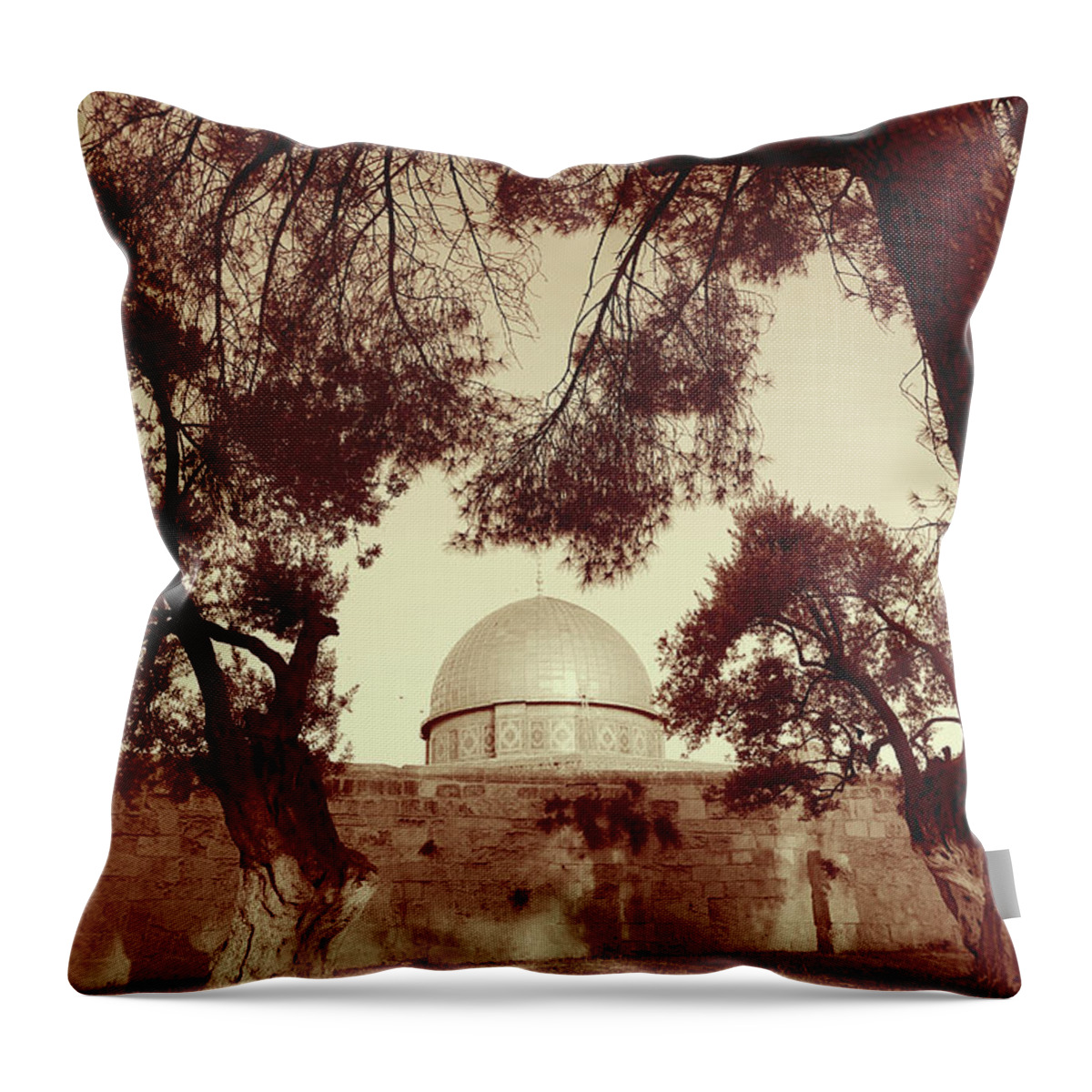 Albumen Print Of Amazing Mosques Around The World - 032 Throw Pillow featuring the painting Albumen Print of Amazing Mosques around the world - 032, Woodburytype by Artistic Rifki