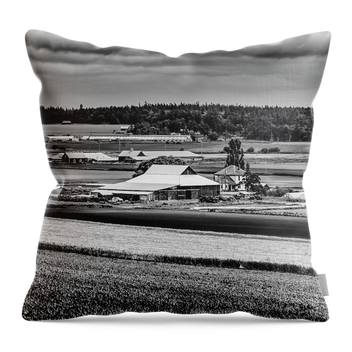 Landscape Throw Pillow featuring the photograph Alfalfa farm by Charles McCleanon