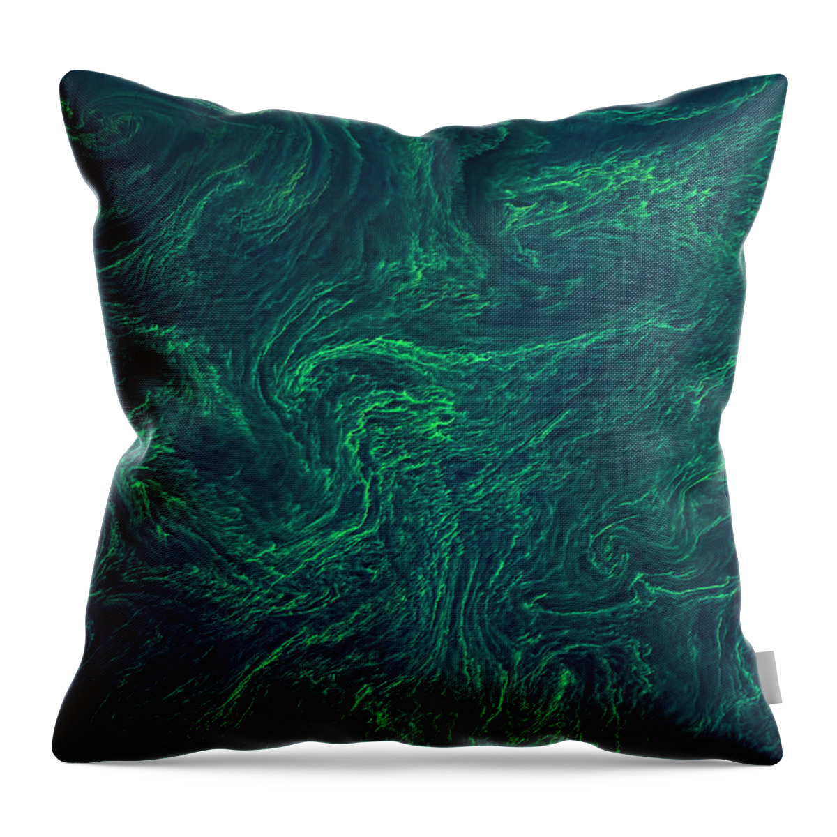 Satellite Image Throw Pillow featuring the photograph Algal bloom in the Baltic Sea by Christian Pauschert