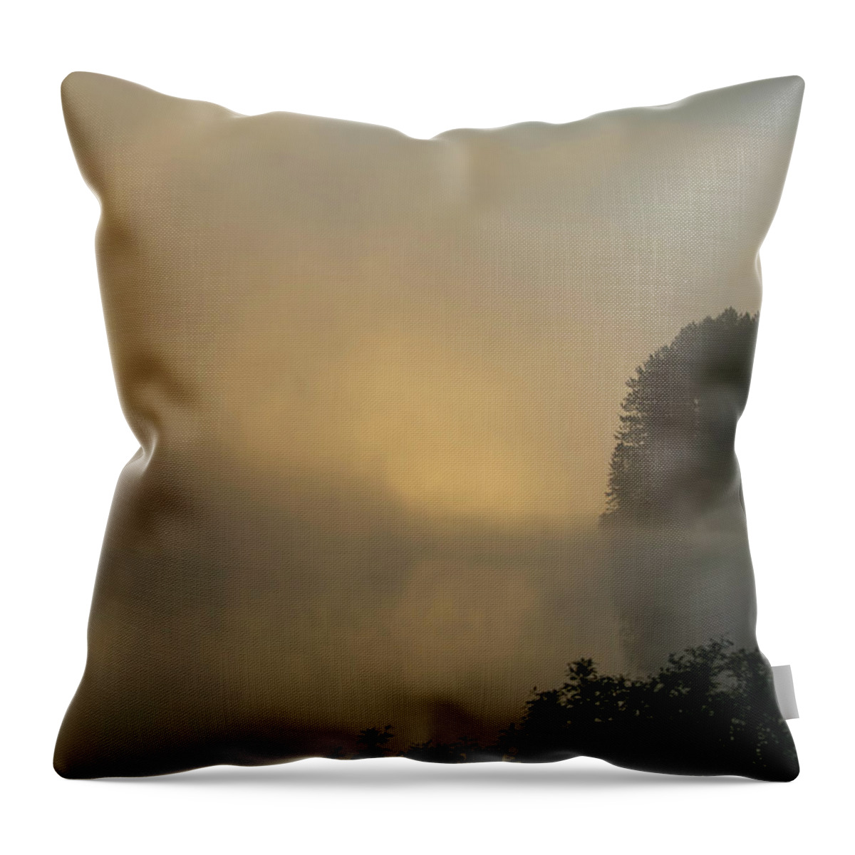 Algonquin Throw Pillow featuring the photograph Algonquin Morning by CR Courson