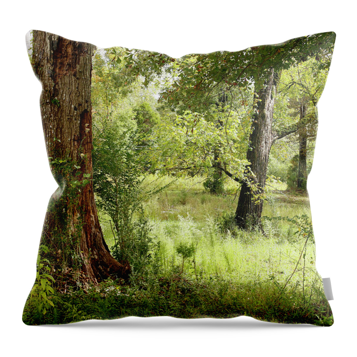 The South Throw Pillow featuring the photograph Pastoral by Eyes Of CC