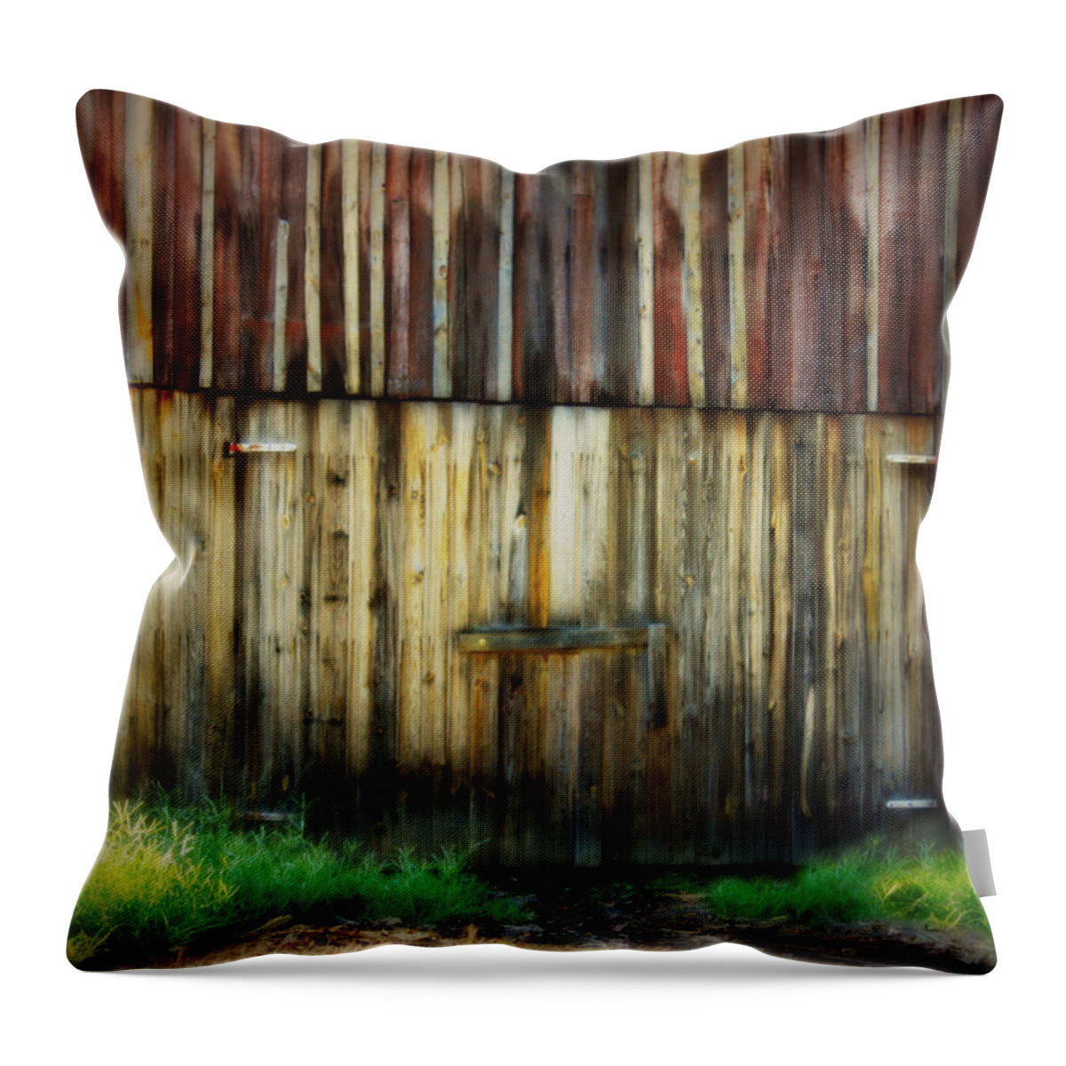 Barn Throw Pillow featuring the photograph All Dressed Up by Julie Hamilton
