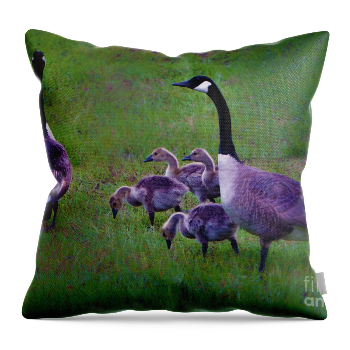Canada Goose Throw Pillow featuring the photograph All in the Family by Karen Beasley