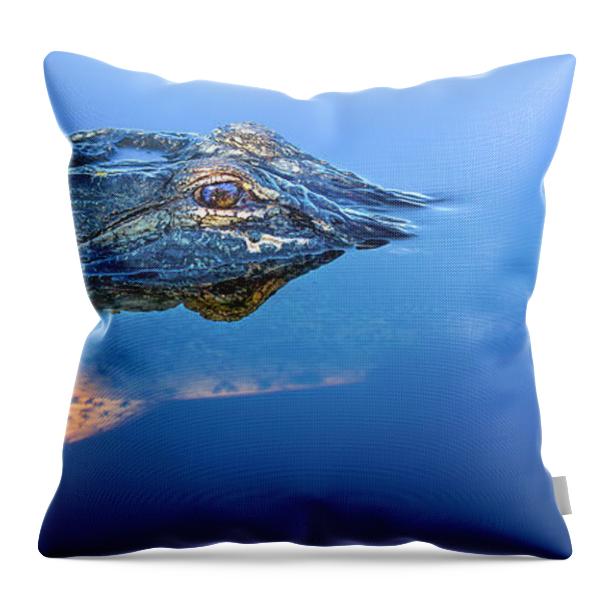 Alligator Panorama Throw Pillow featuring the photograph Alligator Panorama by Mark Andrew Thomas