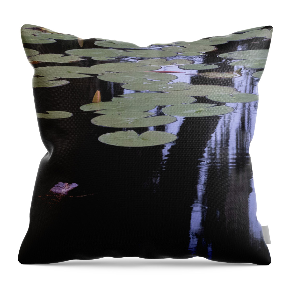 Alligator Throw Pillow featuring the photograph Alligator, Water Lily, And Reflection by Phil And Karen Rispin