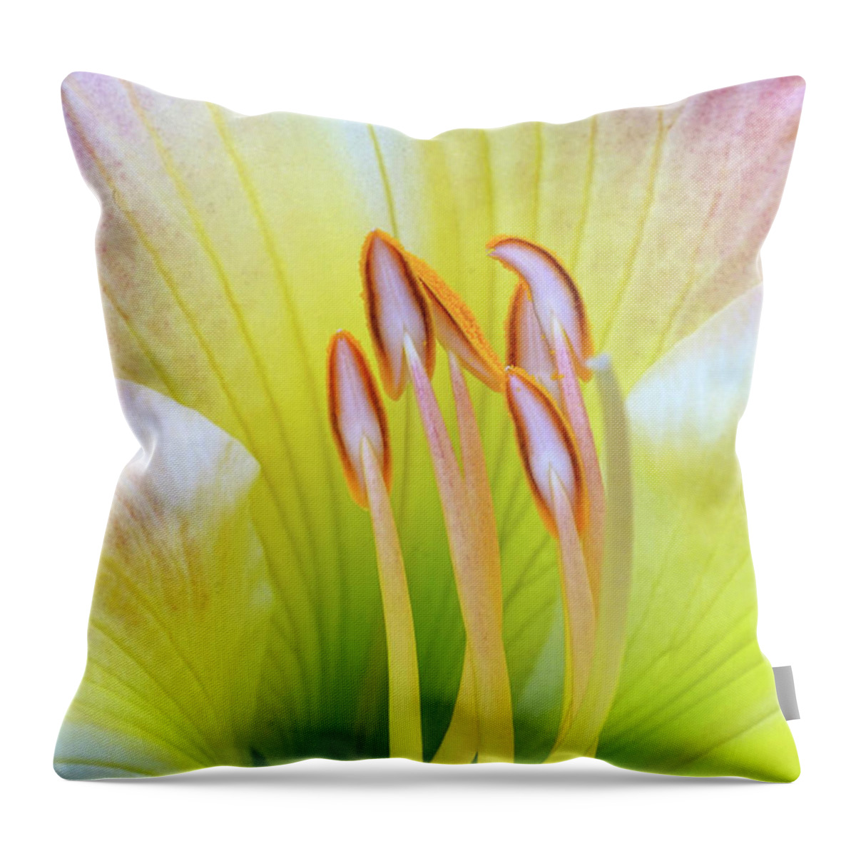 Pink Lily Throw Pillow featuring the photograph Alluring by Kathi Mirto
