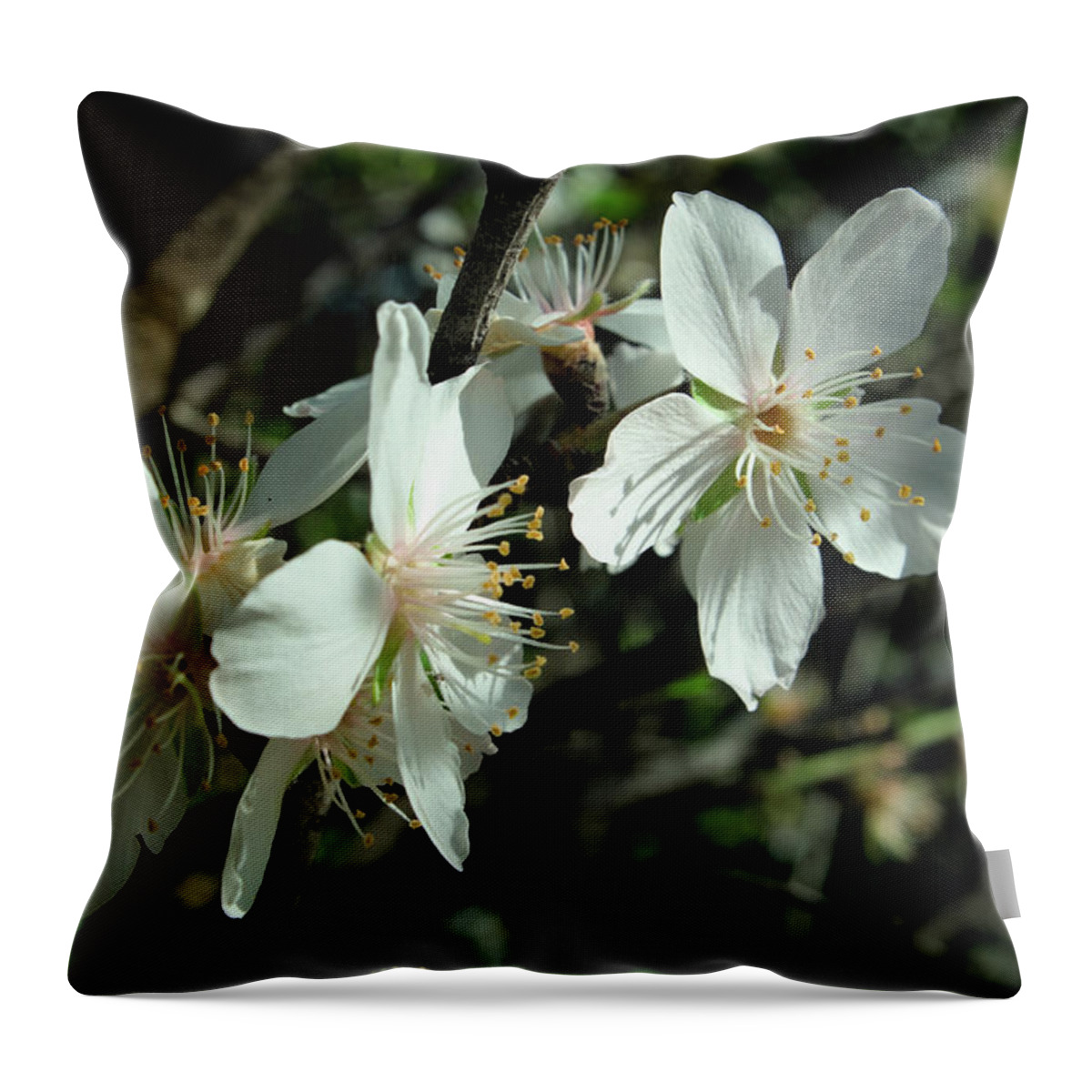 Algarve Throw Pillow featuring the photograph Almond Flowers Blossoms of Spring by Angelo DeVal