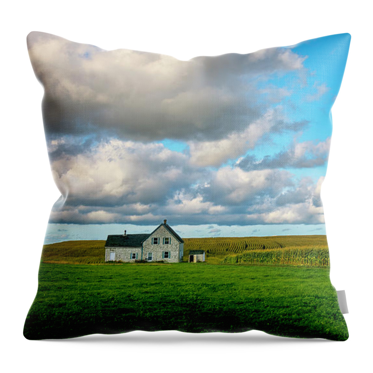 Cape Breton Throw Pillow featuring the photograph Alone in Mabou Ridge by Ken Morris