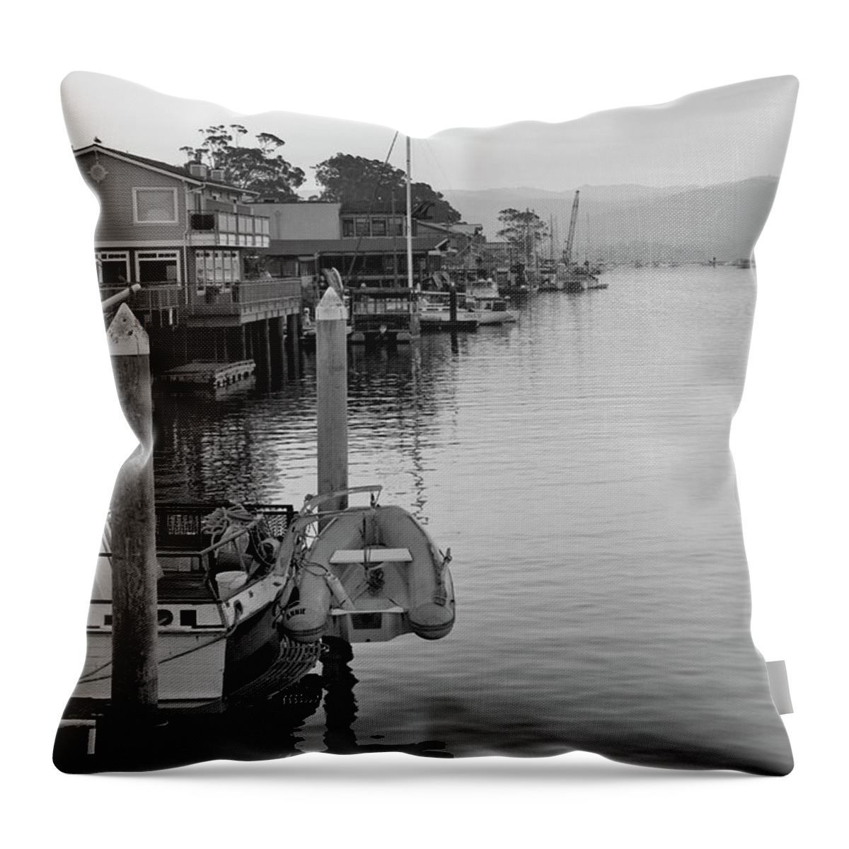 Sunrise Throw Pillow featuring the photograph Along the Dock by Gina Cinardo